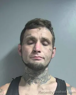 Mugshot of JAMES COLTON DAVIS