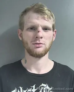 Mugshot of ROBERT LEE ADAMS