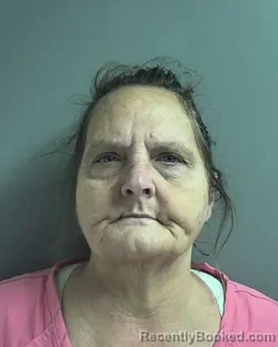 Mugshot of TERESSA DEAN M COOK