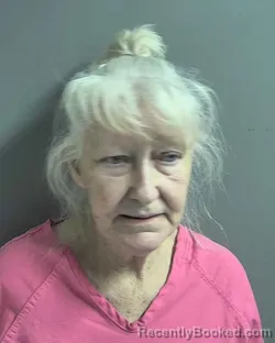 Mugshot of SUSAN KARA LOWERY