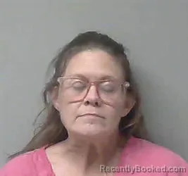 Mugshot of Brandy Allison Henry