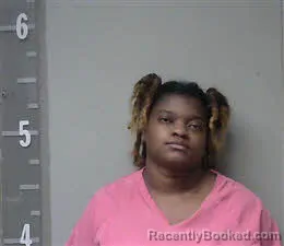 Booking photo from Marshall County, Alabama