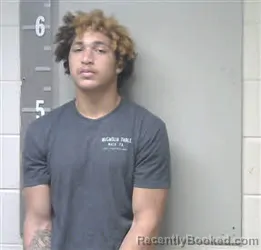 Booking photo from Marshall County, Alabama