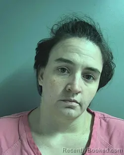 Mugshot of AMBER ROSE MEDLOCK BOUGIT