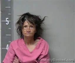Mugshot of TINA MICHELEE SMART TOWRY
