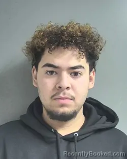 Mugshot of HUGO GIOVANNI CONTRERAS