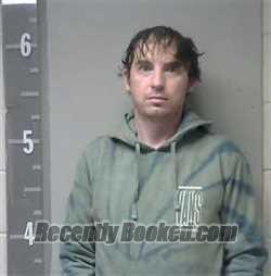 Booking photo from Marshall County, Alabama