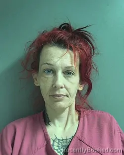 Mugshot of JAMIE L SLAUGHTER