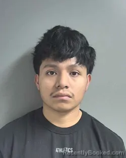 Mugshot of FREDY NELSON MENDEZ-REYNOSO
