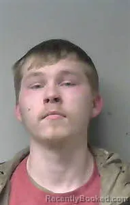 Mugshot of MYLES SWEARENGIN