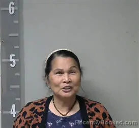 Mugshot of ALMA BANZUELO HORNBROOK