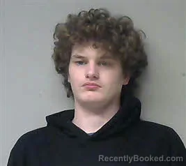 Mugshot of Triston Michael See