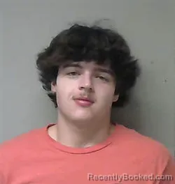 Mugshot of Camden Reid Cook