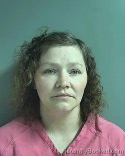 Mugshot of ANNIE LEE BAIRD