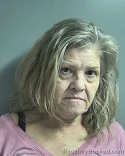 Mugshot of SHEILA IRENE RAGSDALE