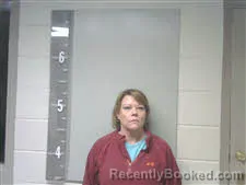 Mugshot of LYNETTE MARIE HUGGINS