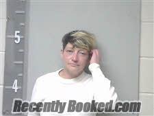 Booking photo from Marshall County, Alabama