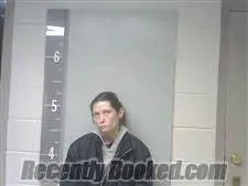 Booking photo from Marshall County, Alabama