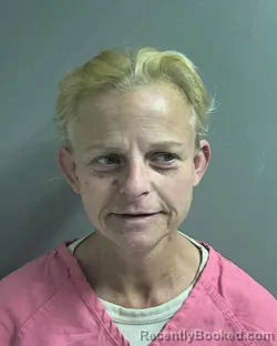 Mugshot of MISTY DAWN WILLIAMS