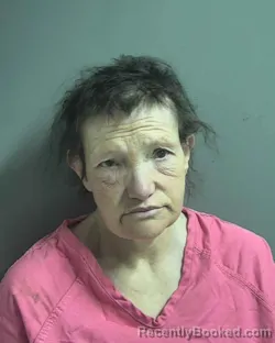 Mugshot of SANDY RACHEL MITCHELL