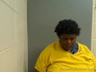 Mugshot of JUDY ABRAMS