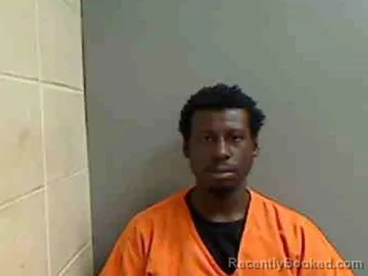 Mugshot of SYLVESTER NETTLES