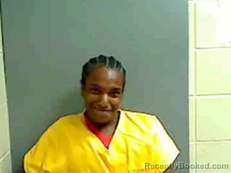 Mugshot of ERICA LANET LEE
