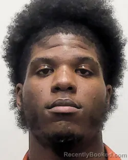 Mugshot of MIKELLI O'GRADY DAVIS