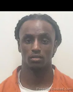 Mugshot of IVRY LEE HALL