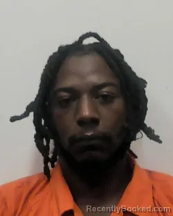 Mugshot of LENARDA LEMAR HOOKS