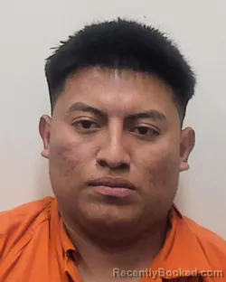Mugshot of PEDRO PEREZ