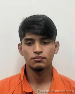Mugshot of TEJEDA BRAIAN PACHEO