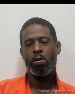 Mugshot of DEDRICK LASHON WELLS