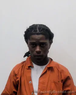 Mugshot of JASON WILLIAMS