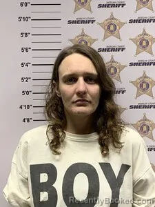 Mugshot of DIANA TESS MCABEE