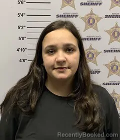 Booking photo from Morgan County, Alabama