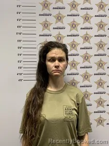 Mugshot of JAMIE M CHEATHAM booked in Morgan County, Alabama on April 1, 2026