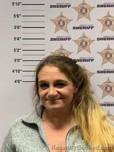 Mugshot of SHEENA DONELLE STEVENS