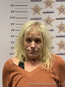Mugshot of JENNIFER JOY PEDERSEN