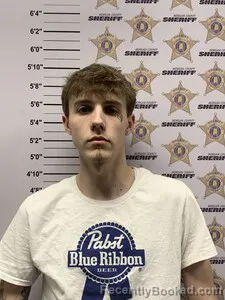 Mugshot of JOSHUA ETHAN LEDLOW