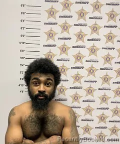 Mugshot of DEMETRIUS DUSHAWN JOHNSON