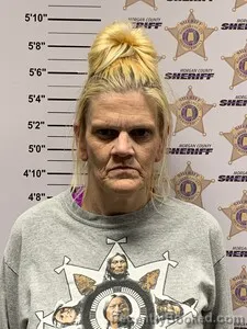 Mugshot of CARRIE LANE HENDERSON booked in Morgan County, Alabama on March 21, 2026