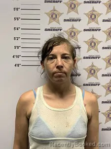 Mugshot of DEONNA JADE LANDERS booked in Morgan County, Alabama on June 24, 2026