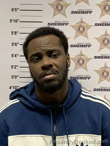 Mugshot of TYLER AARON WILLIAMS