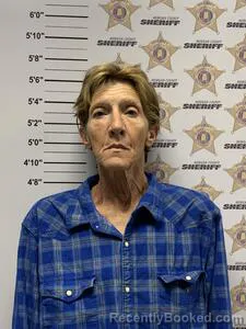 Mugshot of TAMMI HOLLAND MARTIN booked in Morgan County, Alabama on June 26, 2026