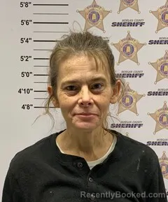 Mugshot of AMANDA LASHAWN CONLEY