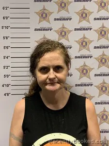 Mugshot of Kristy Allen Perry booked in Morgan County, Alabama on August 26, 2026