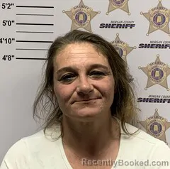 Mugshot of SHEENA DONELLE STEVENS