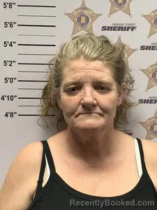 Mugshot of STELLA FAYE MORGAN BRANNON