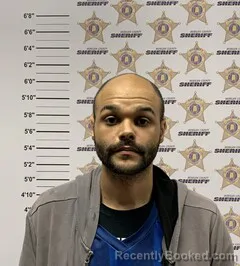 Mugshot of HUNTER PAUL HARRISON-HANEY booked in Morgan County, Alabama on March 30, 2026